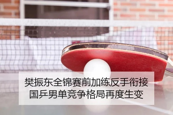 樊振东全锦赛前加练反手衔接 国乒男单竞争格局再度生变