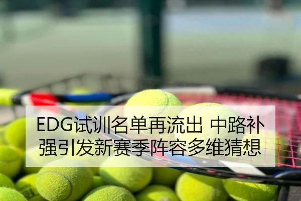 EDG试训名单再流出 中路补强引发新赛季阵容多维猜想